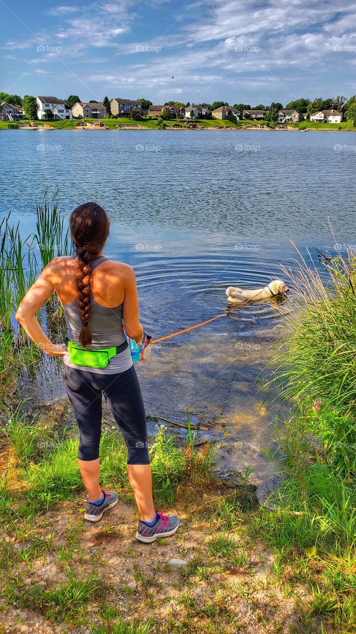 Dog takes a refreshing dip in the Lake during a jog