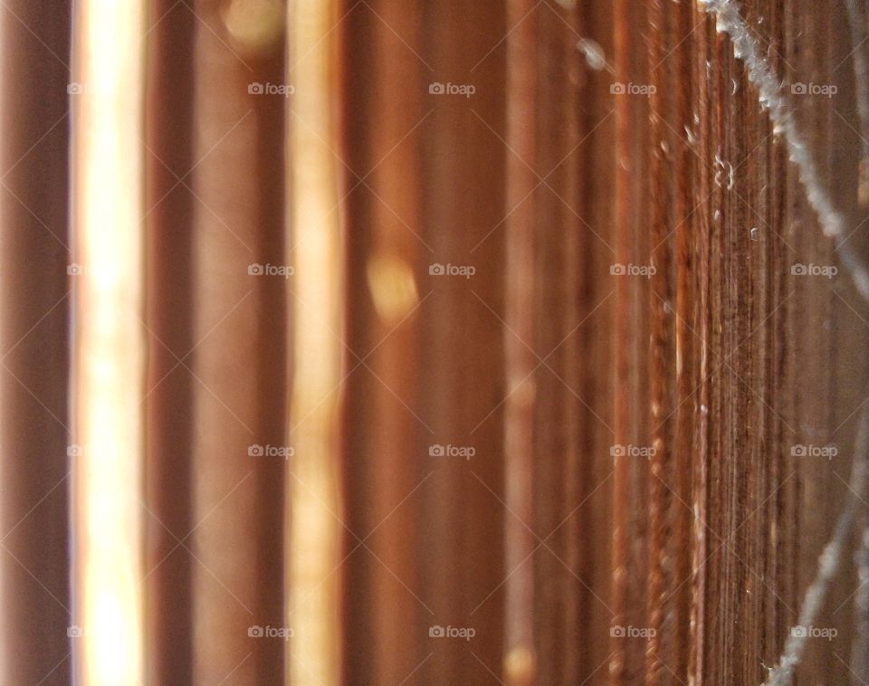 Close-up of a wooden fence