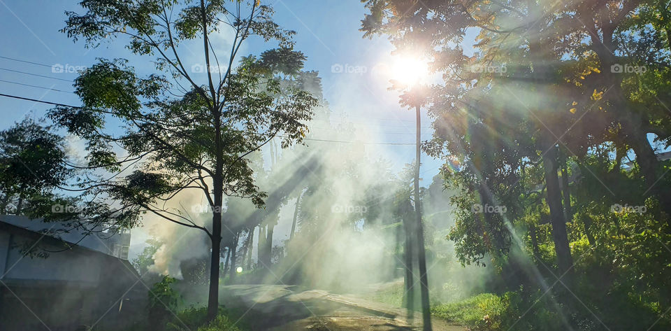 sunshine and fog on the mountains