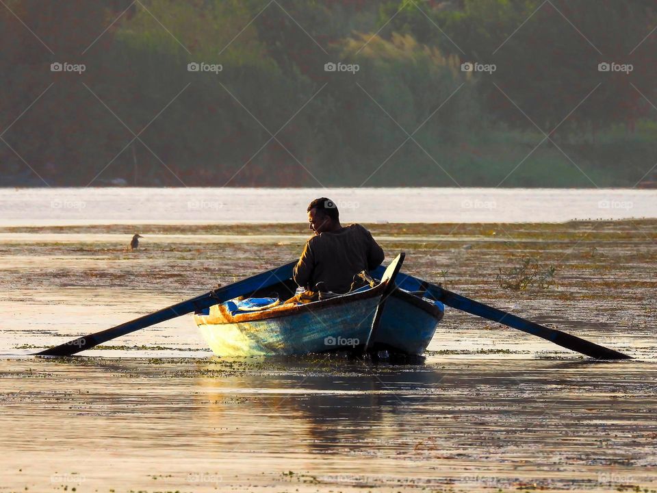 Lonely in the middle of the Nile