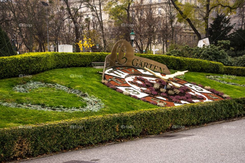 Park, Garden, Tree, Grass, Lawn