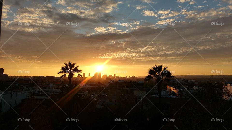This is the sunset between two palm trees with the city silhouette.