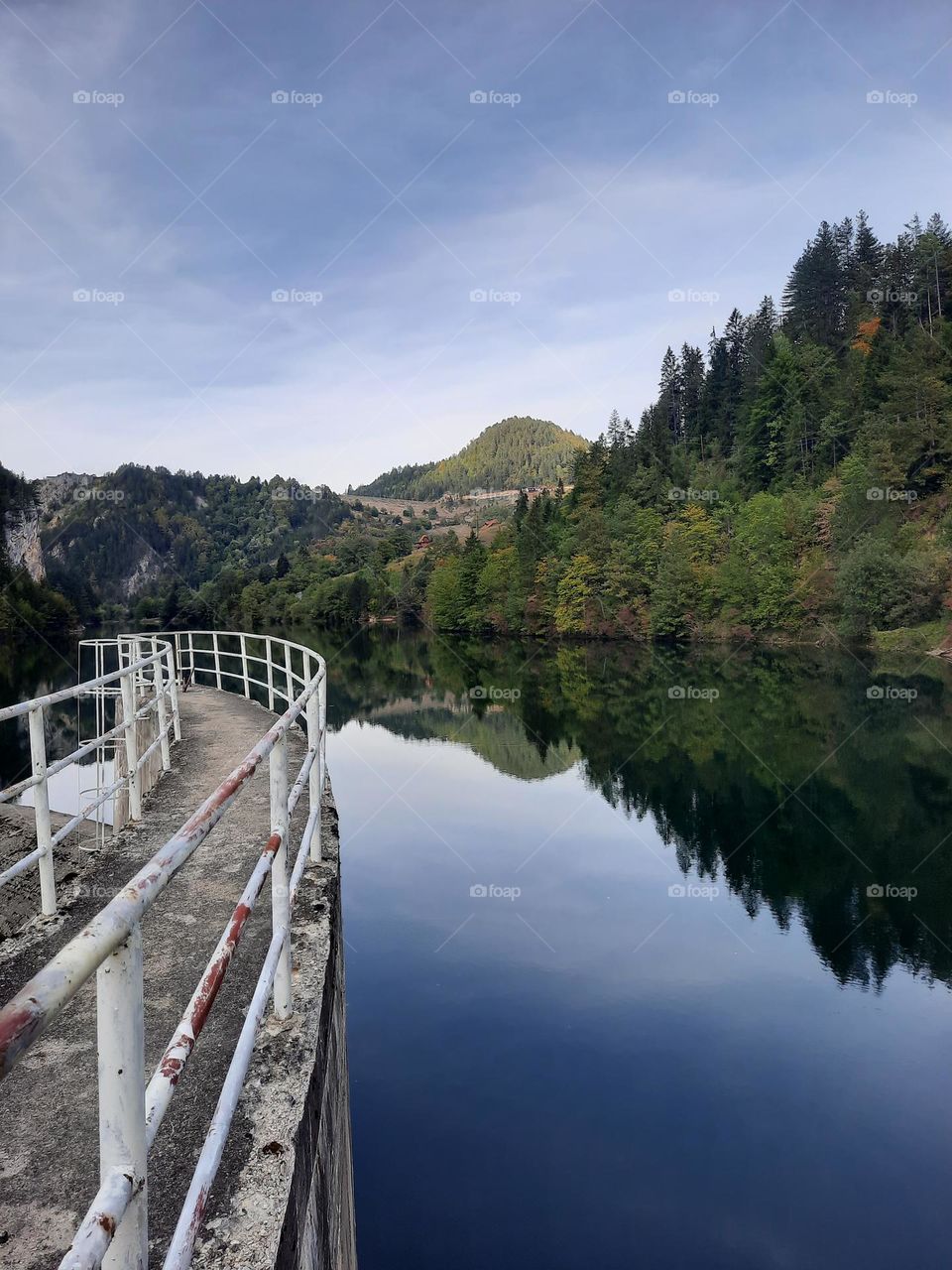 Spajici Lake on the Tara is know for the fact that in that part of Zaovine, the Serbian doctor and botanist Josif Pancic saw  Picea omorika (Panciceva omorika) for the first time, which was named after him.