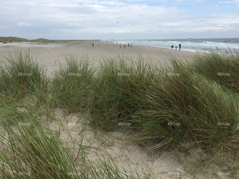 Beach in Skagen