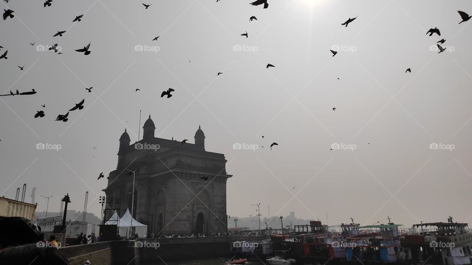 Birds flying around the gateway of India, Mumbai