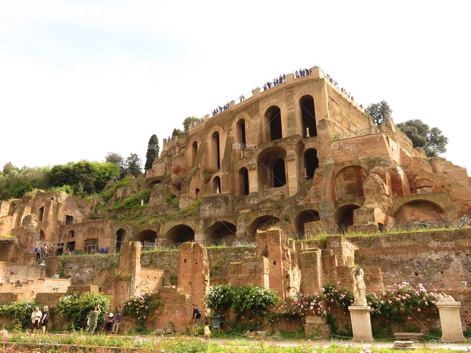 Forum Roma