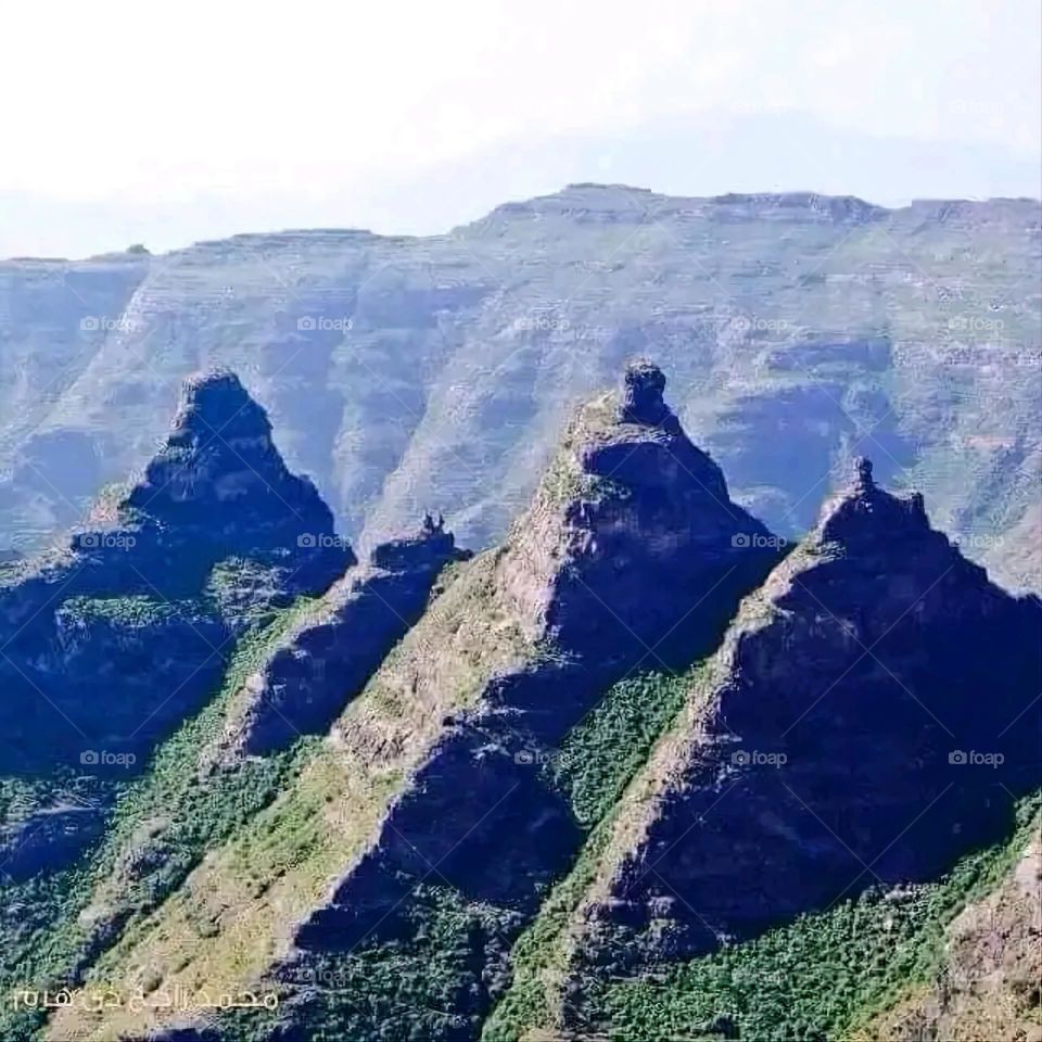 A very beautiful picture, and there is no better picture than it. There is no better picture of green herbs and colorful, red and white roses than it. Glory be to God, the natural and picturesque view, and there is no more