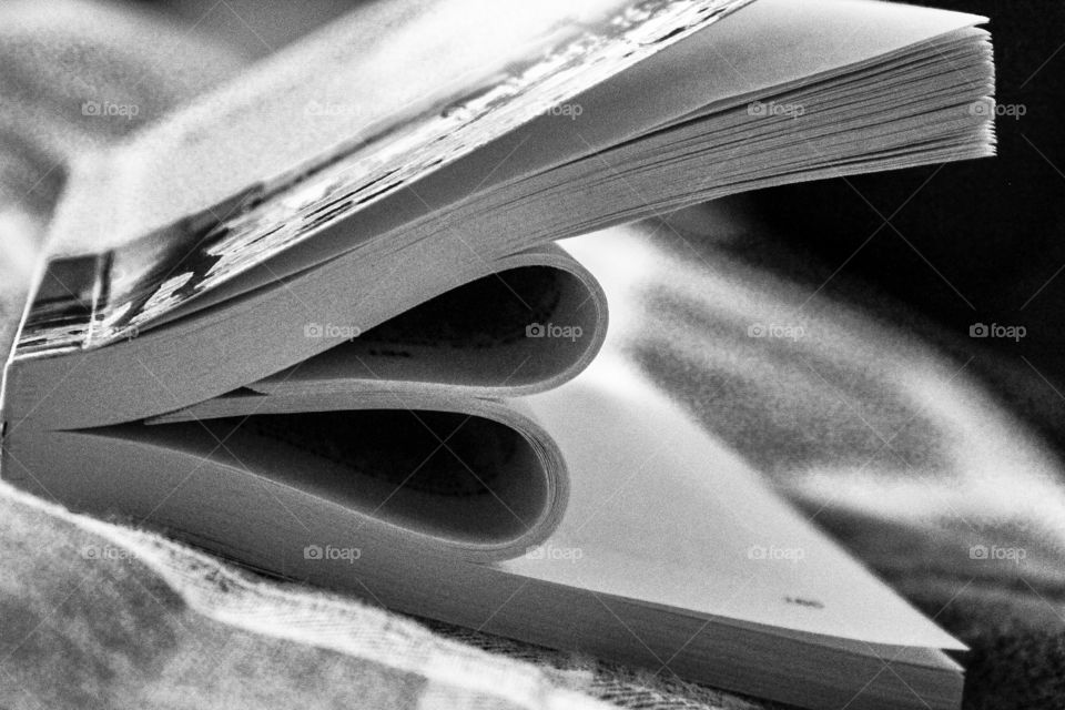 the love for reading the perfect book.