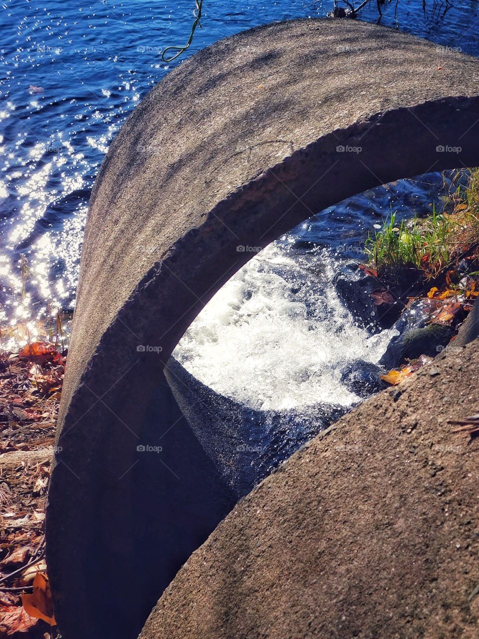 Mondo Pond in Milford, CT