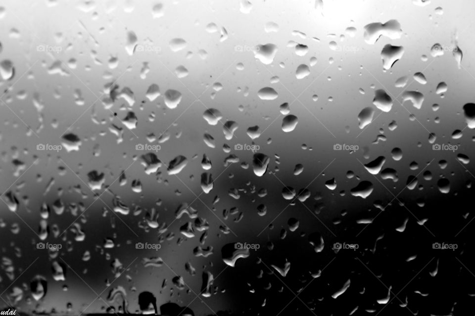 #Rain
#water
#Droplets
#black
#white
#inatant_shot
#season
#moods
#feel