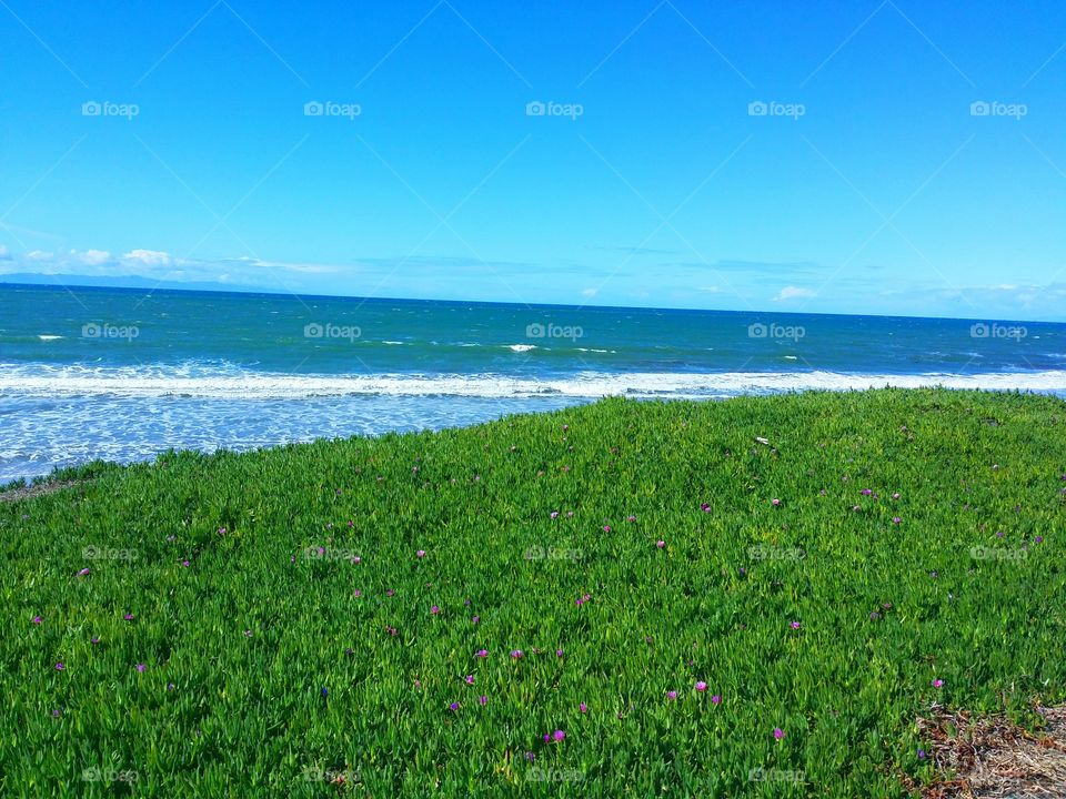 Green to Blue Sea. Always a good day for a beach walk