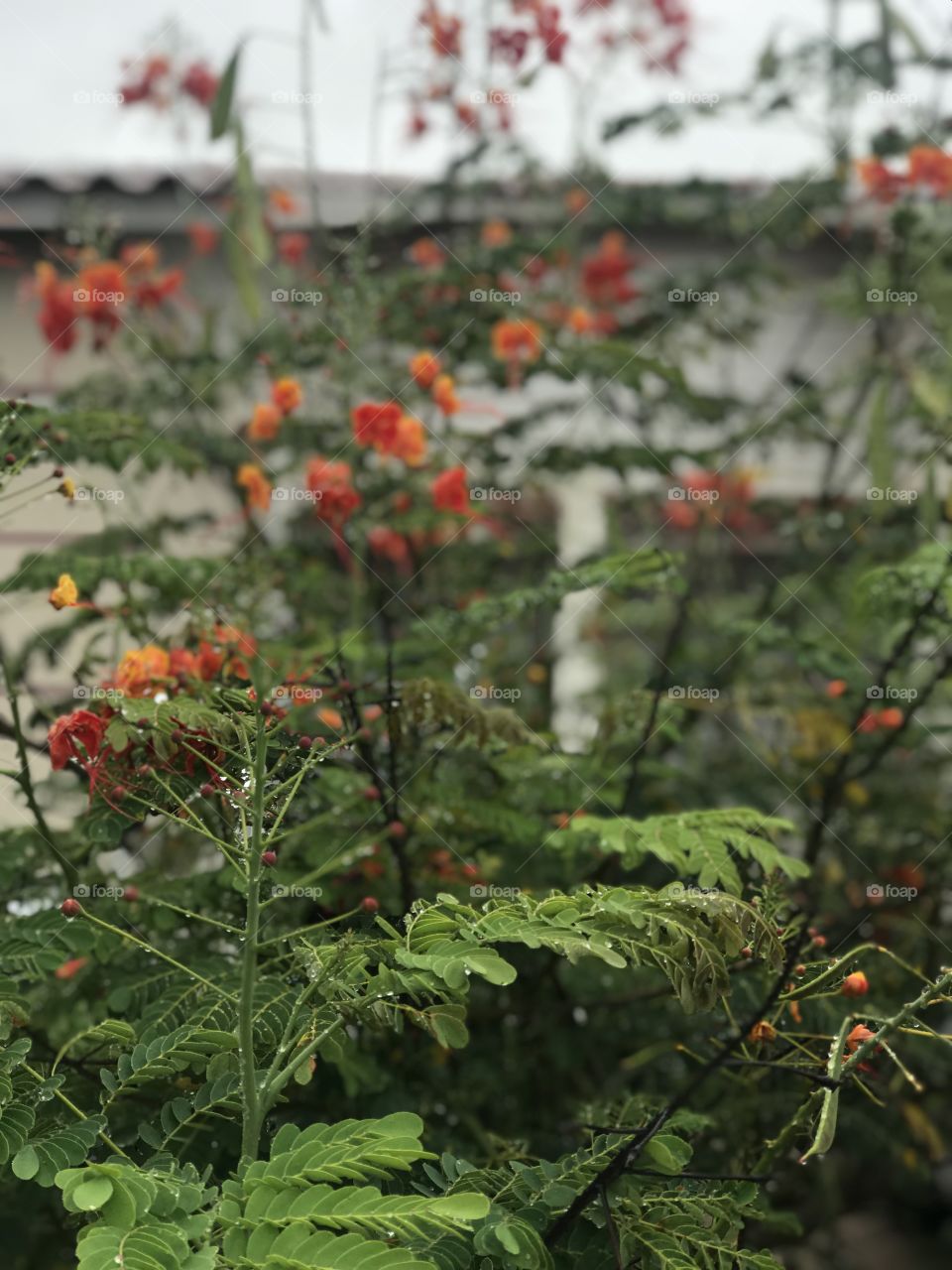 Some snaps near the highways condômino