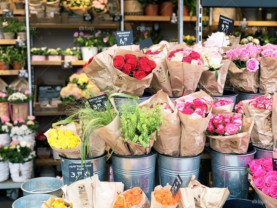 Bright and colorful boost flowers 
