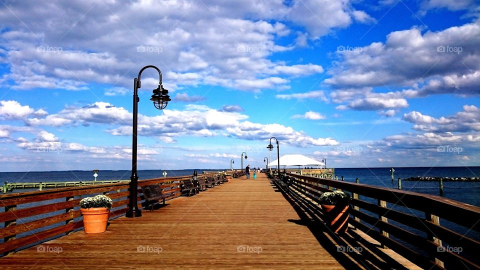 Let's take a walk in Chesapeake Bay