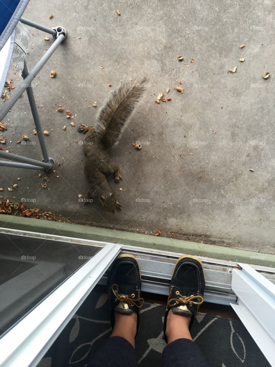 Okay squirrel, getting a little too close