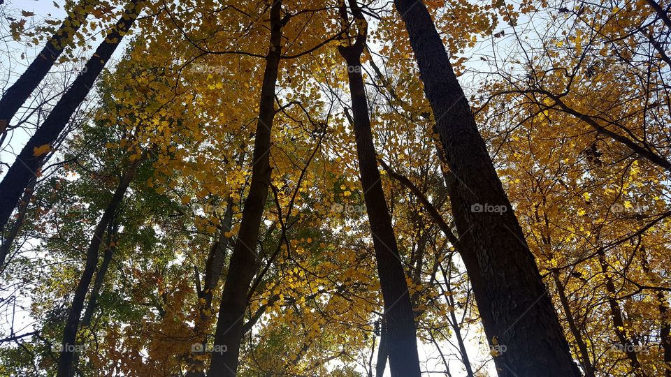 Colour stories: Yellow