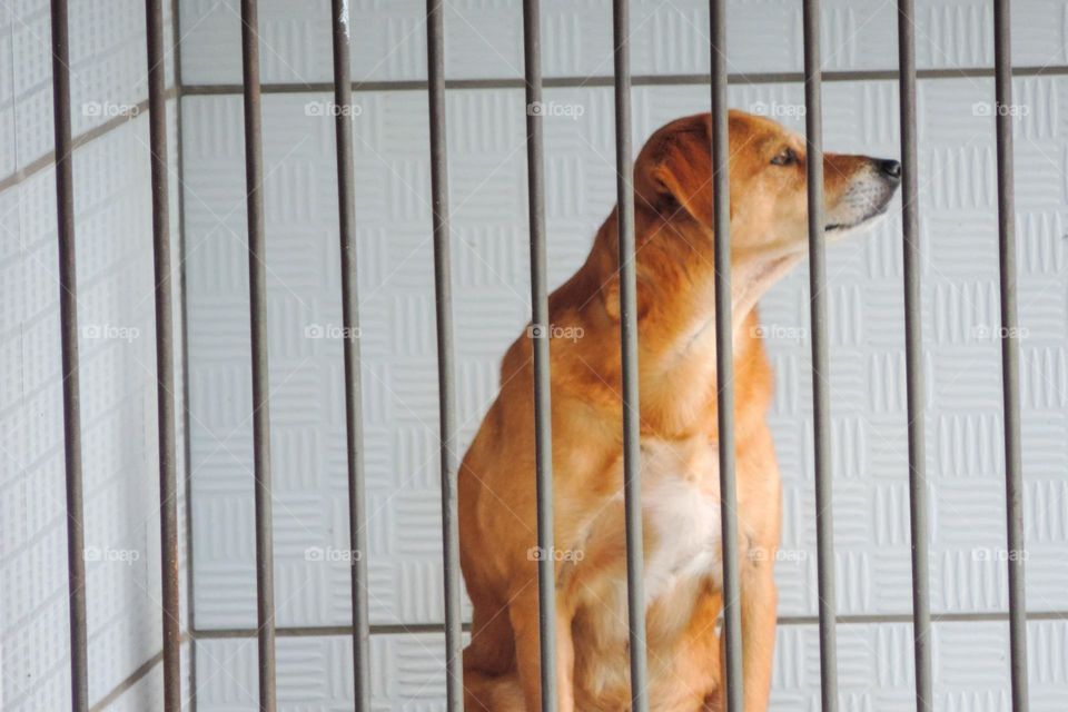 Minnie May cheirando o dia