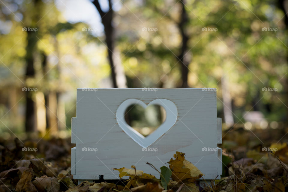 baby photography props. baby bed as photography prop i park among colorful leaves