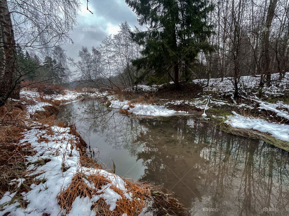 Winter landscape with small forest river