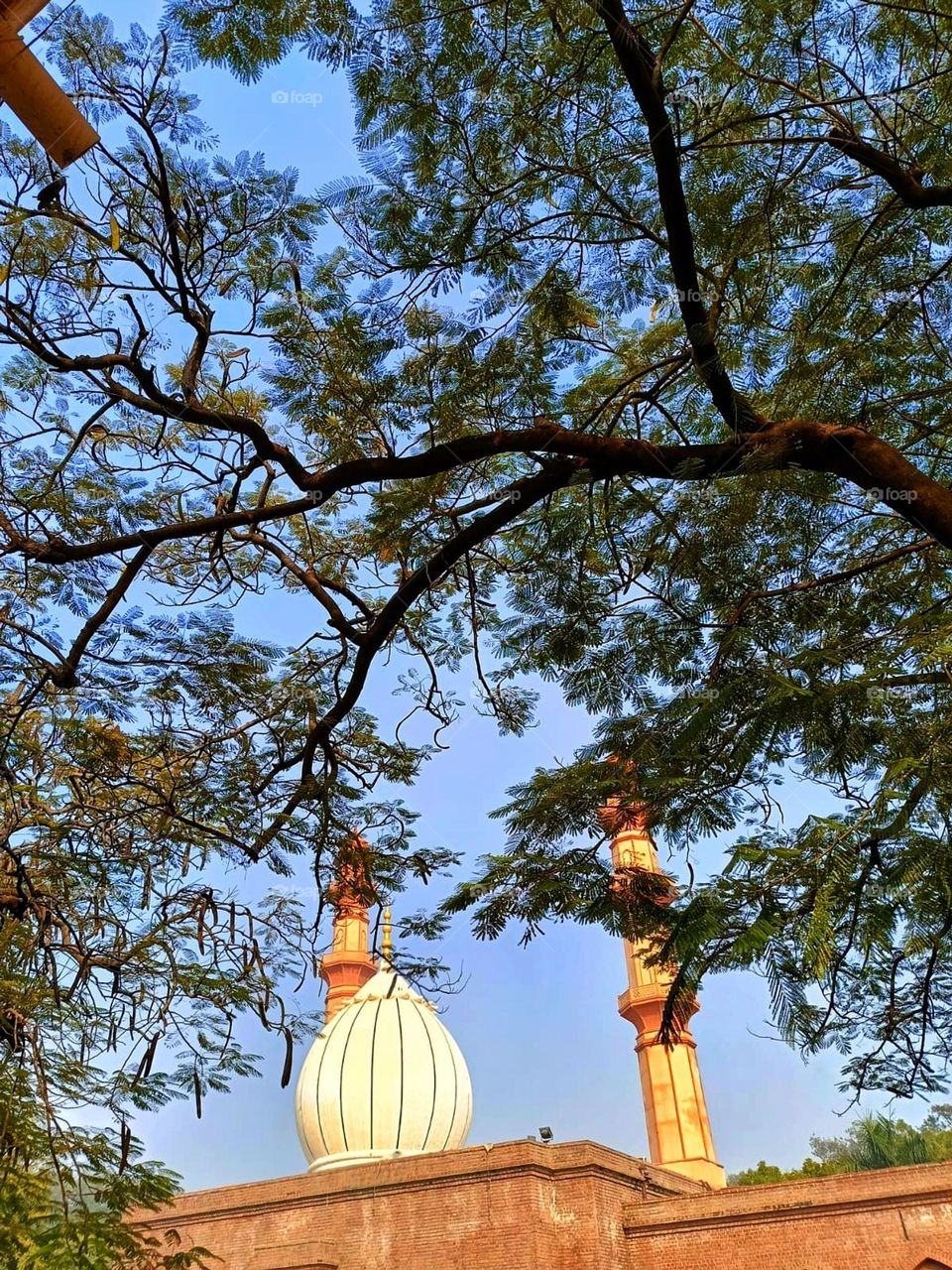 Those towers look so grand and majestic, especially with that impressive dome at the top! It's like a scene from a royal palace. 🏰✨