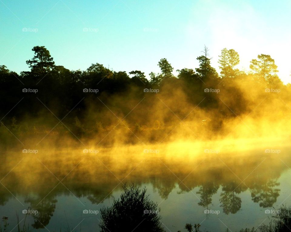 Morning view of idyllic lake