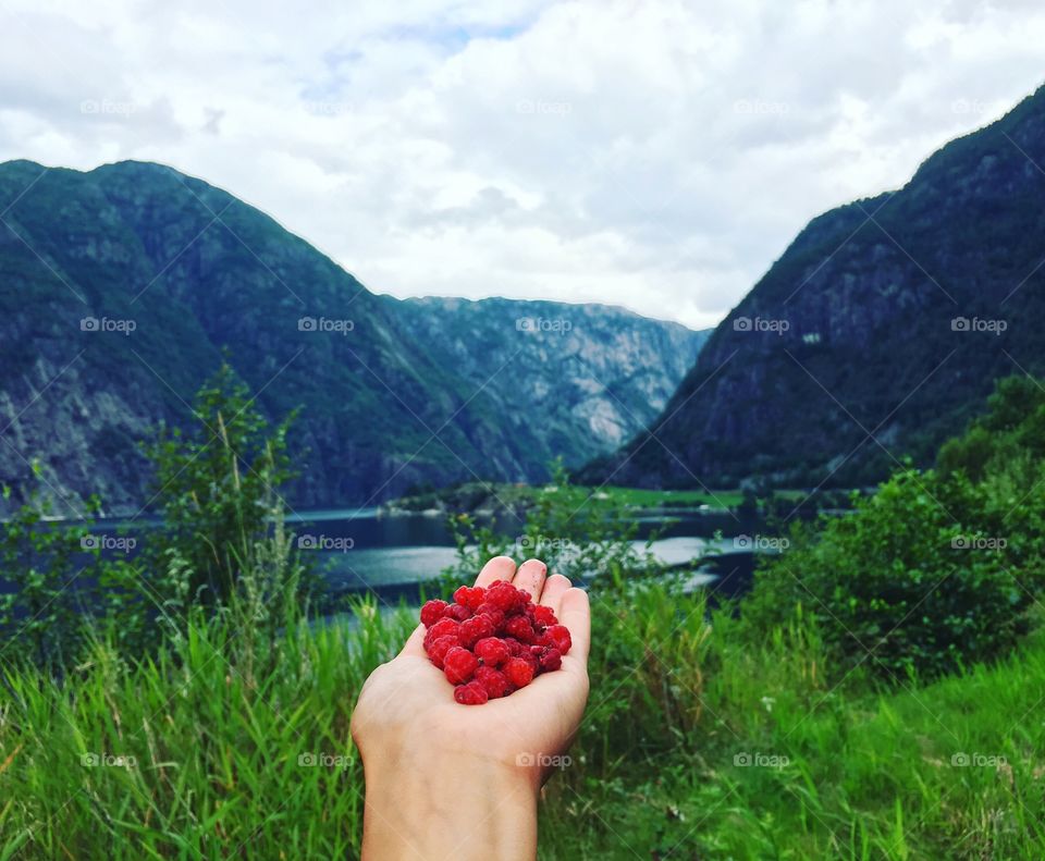 Woman's hand with fresh berries in outdoors