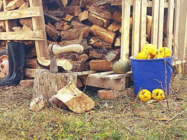 everyday life in the village, preparation for winter, firewood was cut down, the harvest of quince was harvested, and other inverter used on the farm!