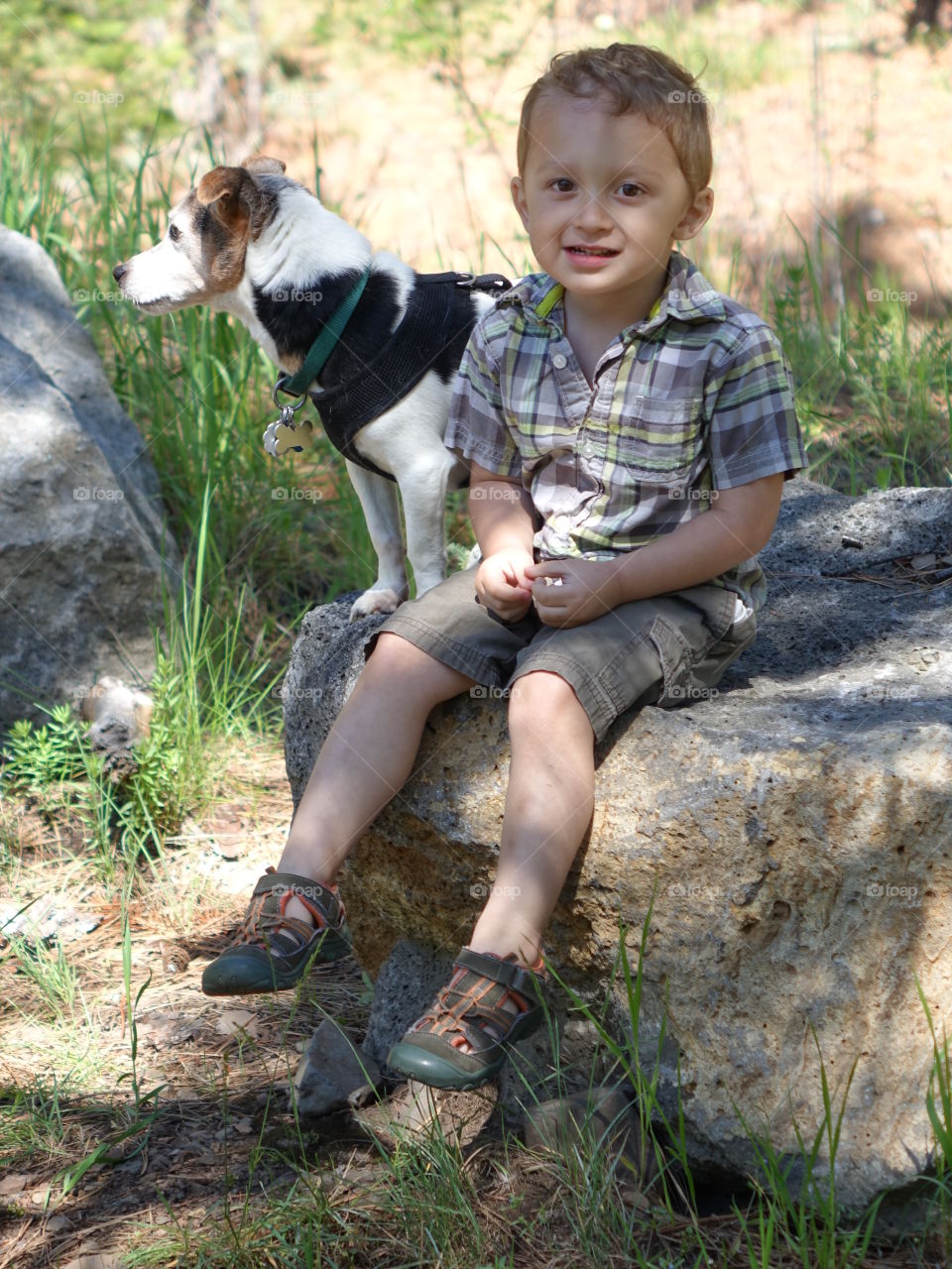 A little boy and his little Jack Russell Terrier sit on a giant boulder in the forests of Central Oregon on a sunny summer day. 