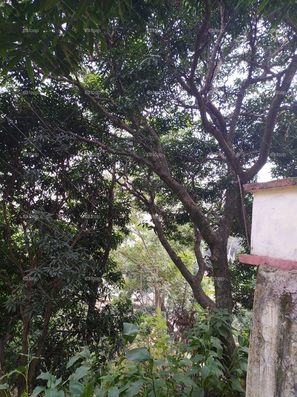 View of the village just before sunset