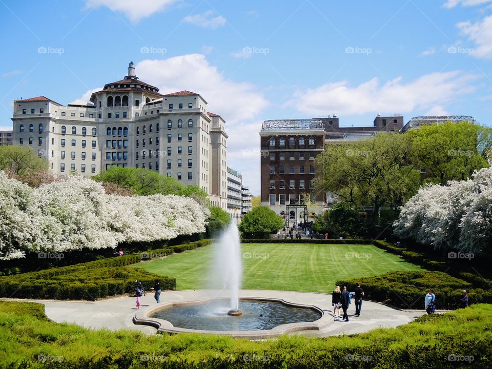 Spring time in the Conservatory Garden Central Park 