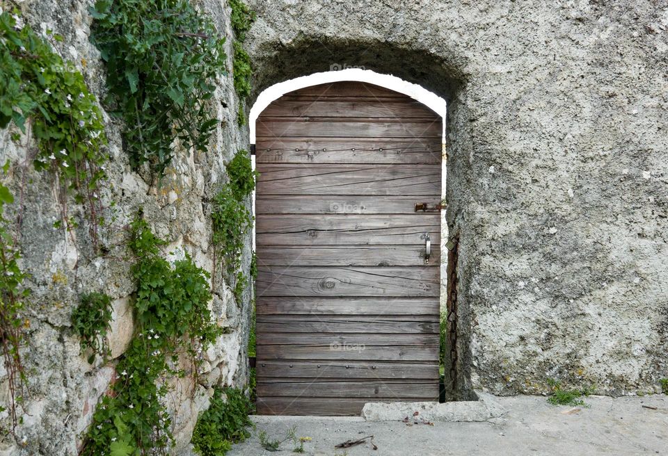 Minimal photo of old wooden door on stone wall with creeping plant