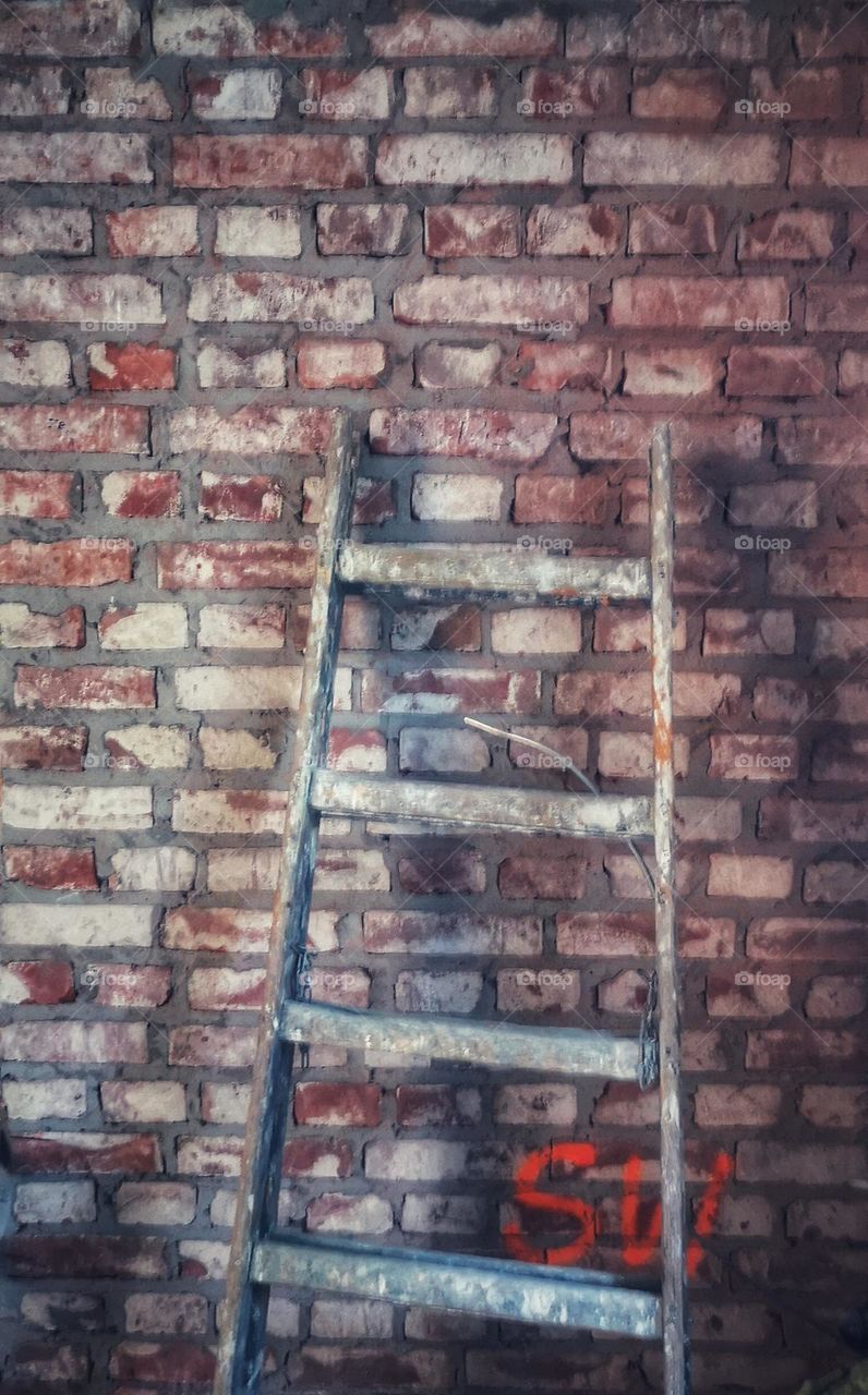 Brick wall and wooden ladder