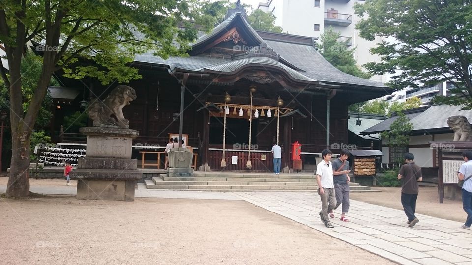 View of a Buddhist temple