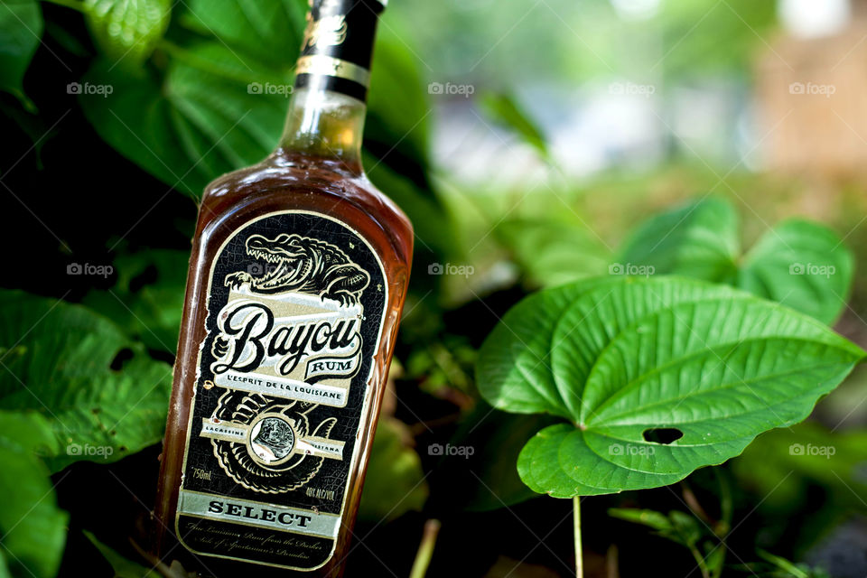 Bayou Rum Select. Gator in the swamp! 