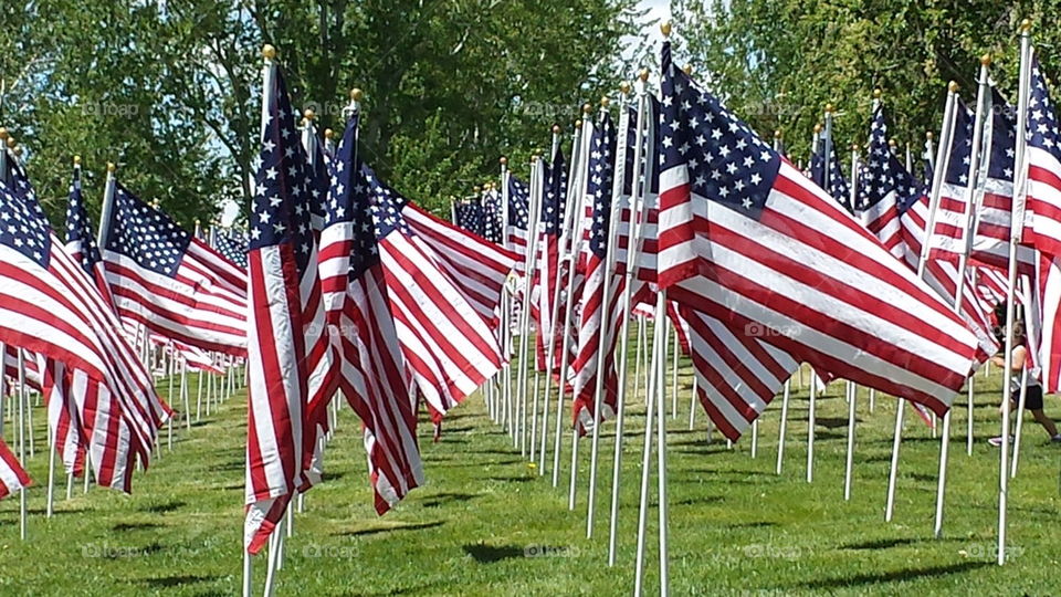 Flags of freedom