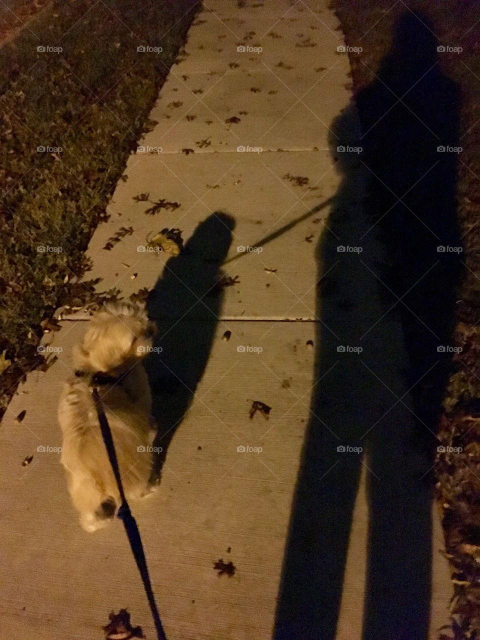 Fall Evening Walk under the Street Lights