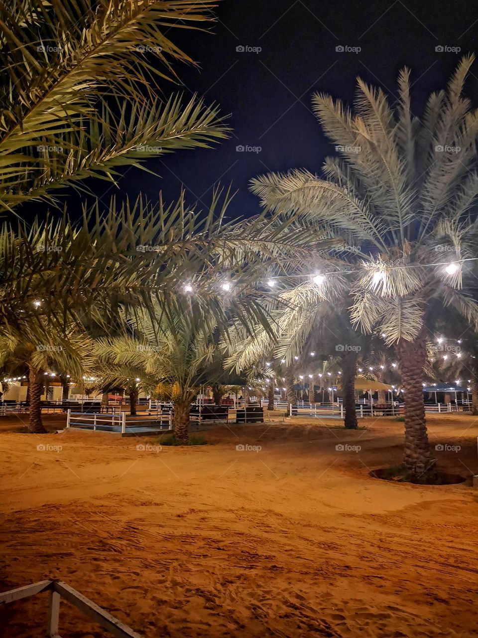 Summer farms and resorts