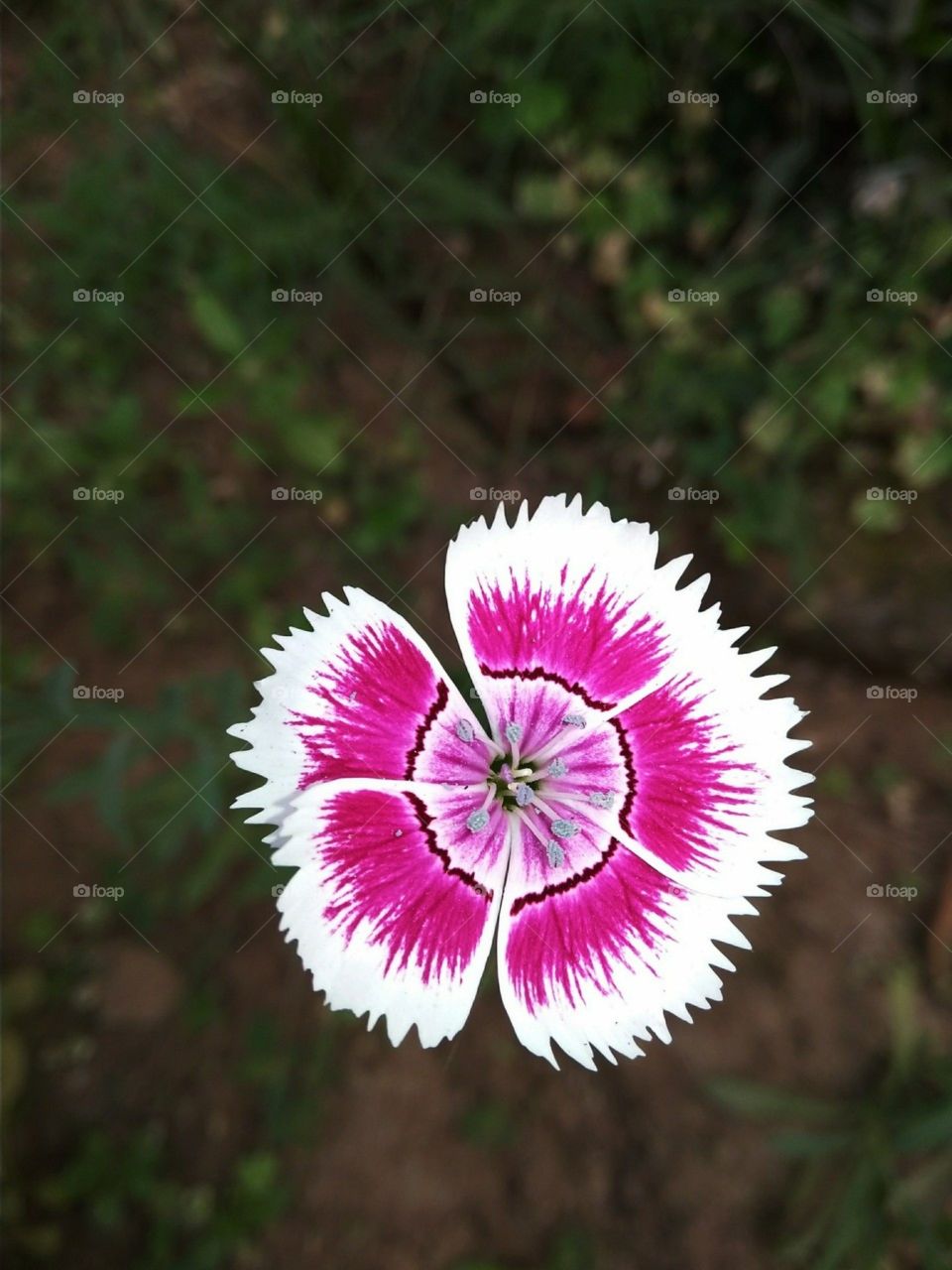 Nature says.. learn to hear