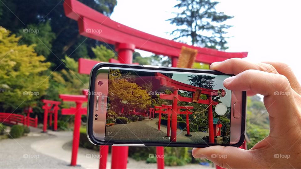 Taking a photo of the garden with red torii gates