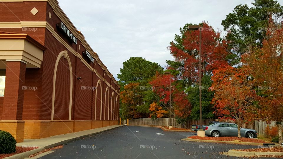 FOOD MART IN THE FALL