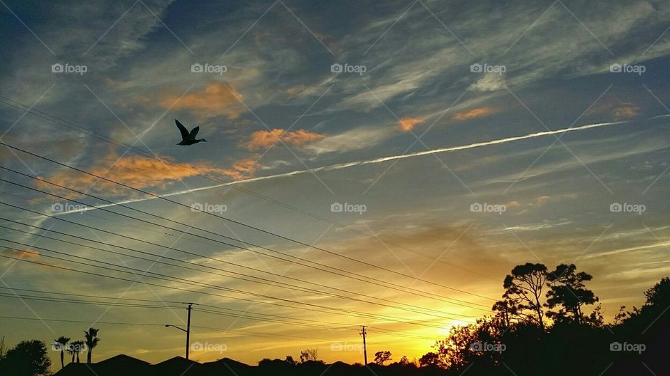 end of the day flight