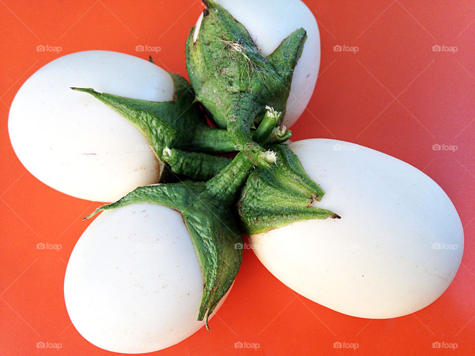 white eggplant. Frim my garden!