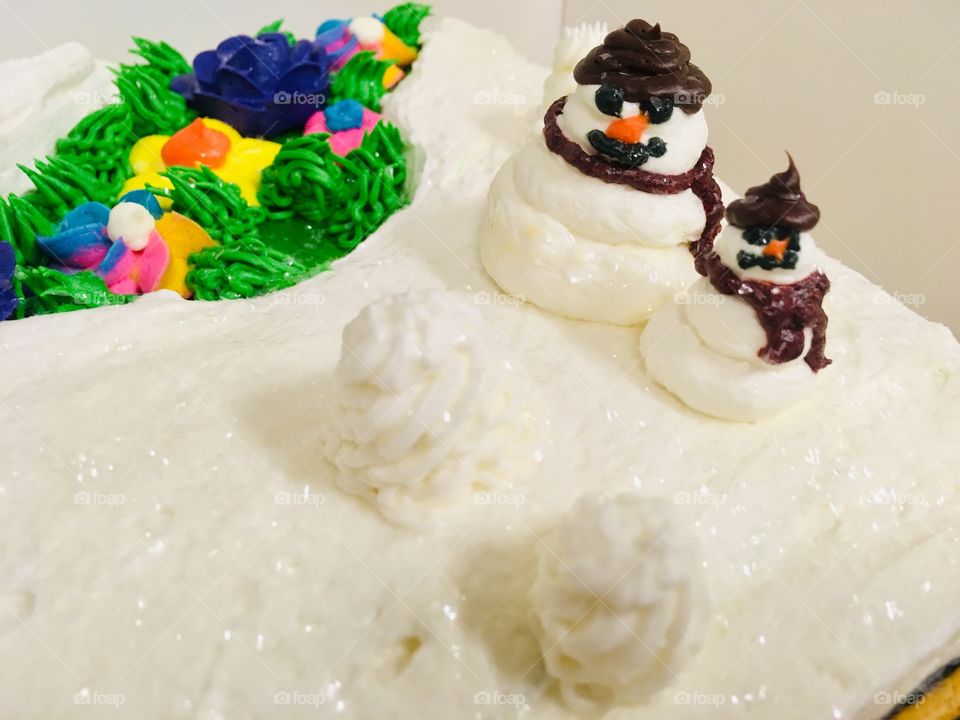 Winter Wonderland cake made by Publix in Florida 