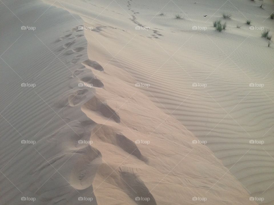 Sandy Footsteps. Footsteps in the Rub' al Khali desert, Abu Dhabi. 