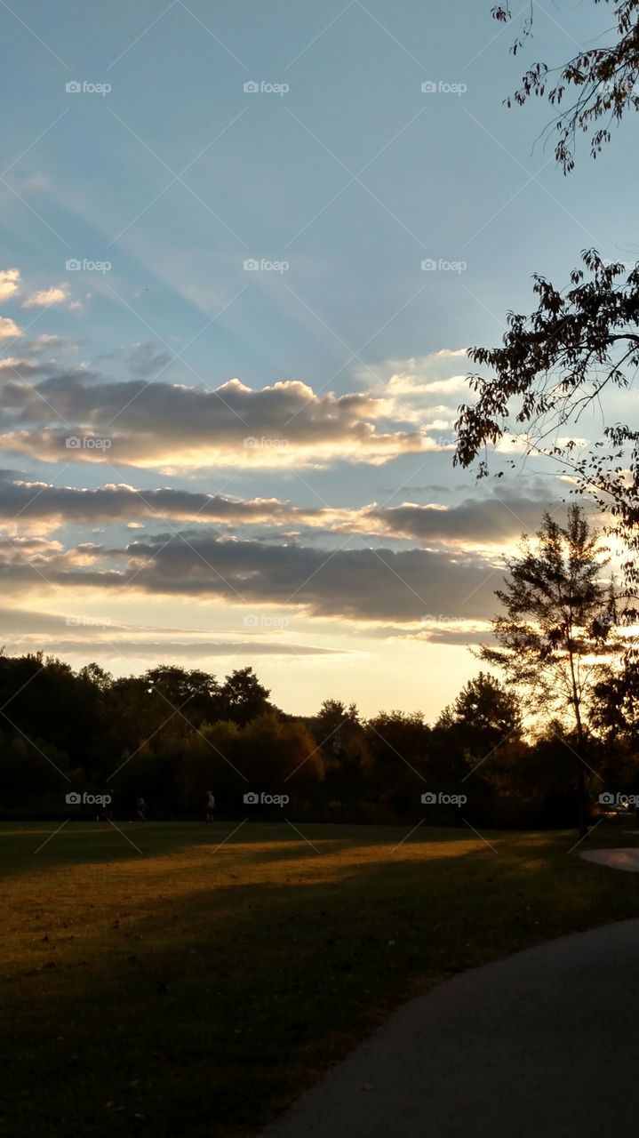 Tree, Landscape, No Person, Sunset, Dawn