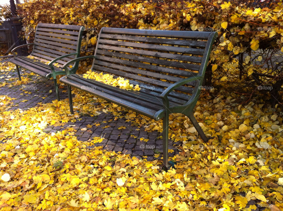 sweden mission5 yalla höst autumn mission5 yalla bänkar höst höstlöv autumn by ingrid13