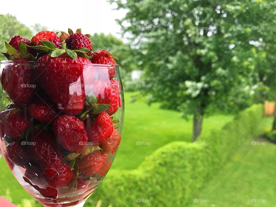 Strawberry time!