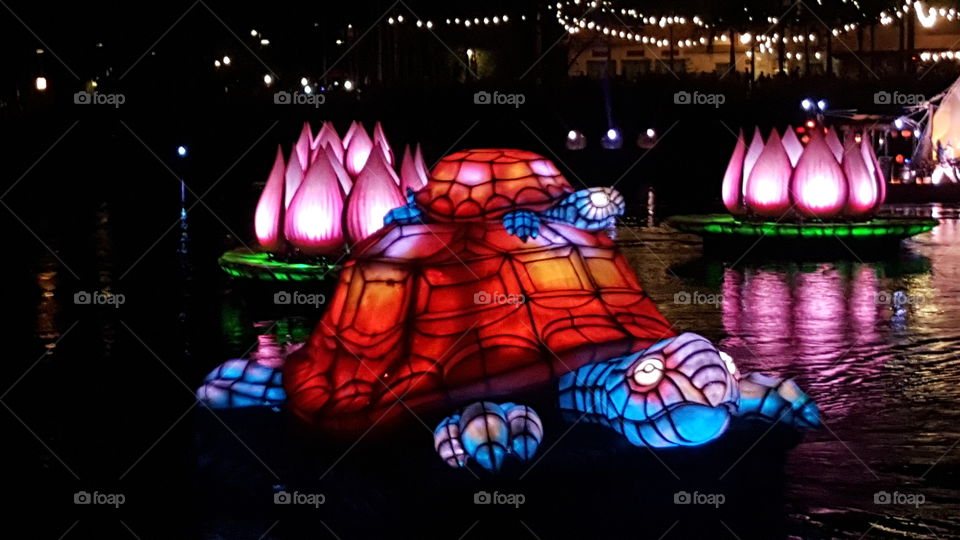 A brilliantly-colored turtle makes its way into the waters of Discovery River during Rivers of Light at Animal Kingdom at the Walt Disney World Resort in Orlando, Florida.