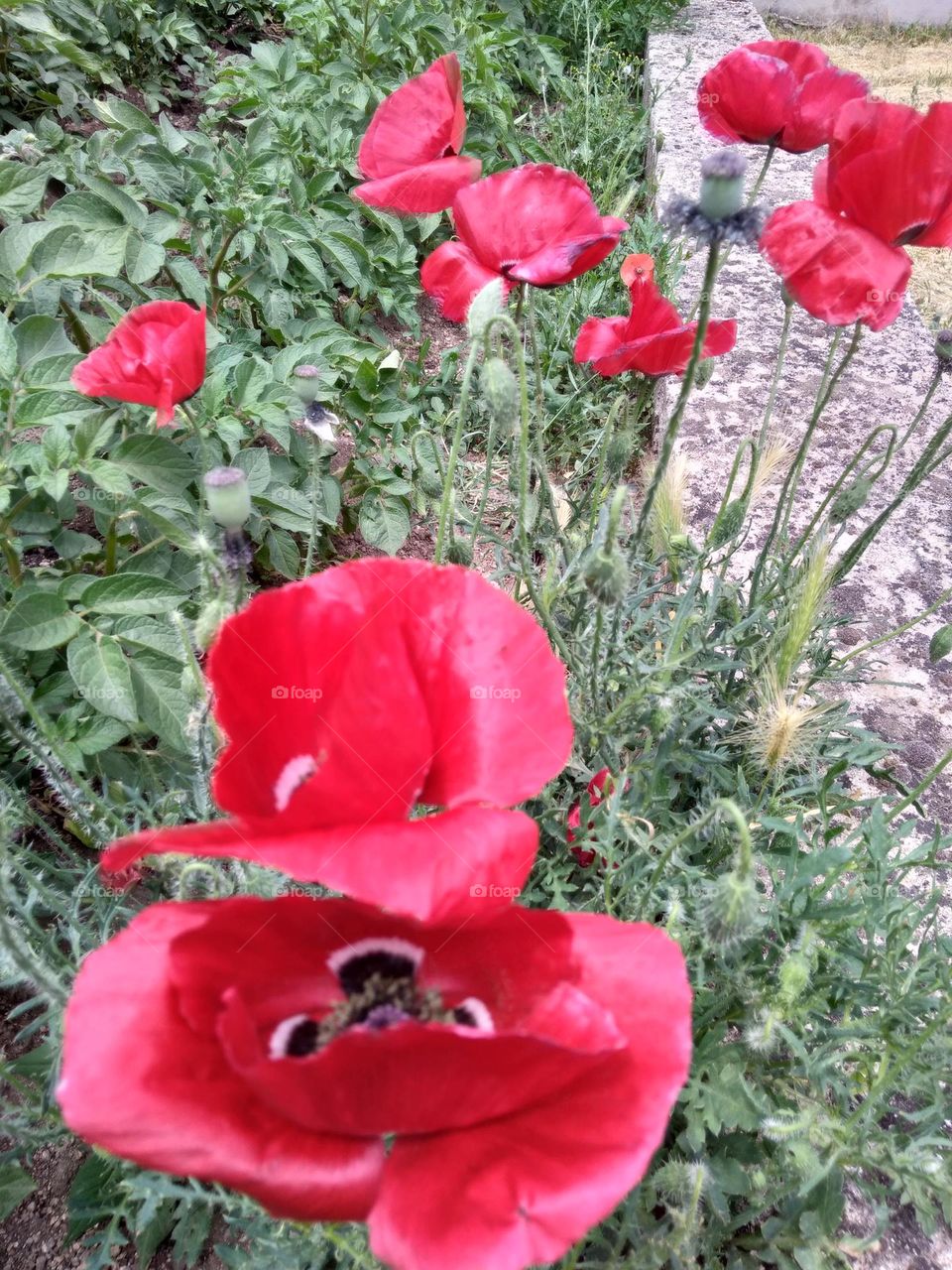 Editors' Choice - Photo of the Week