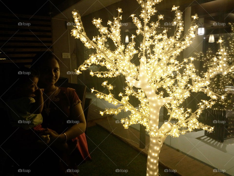 Illuminated Tree